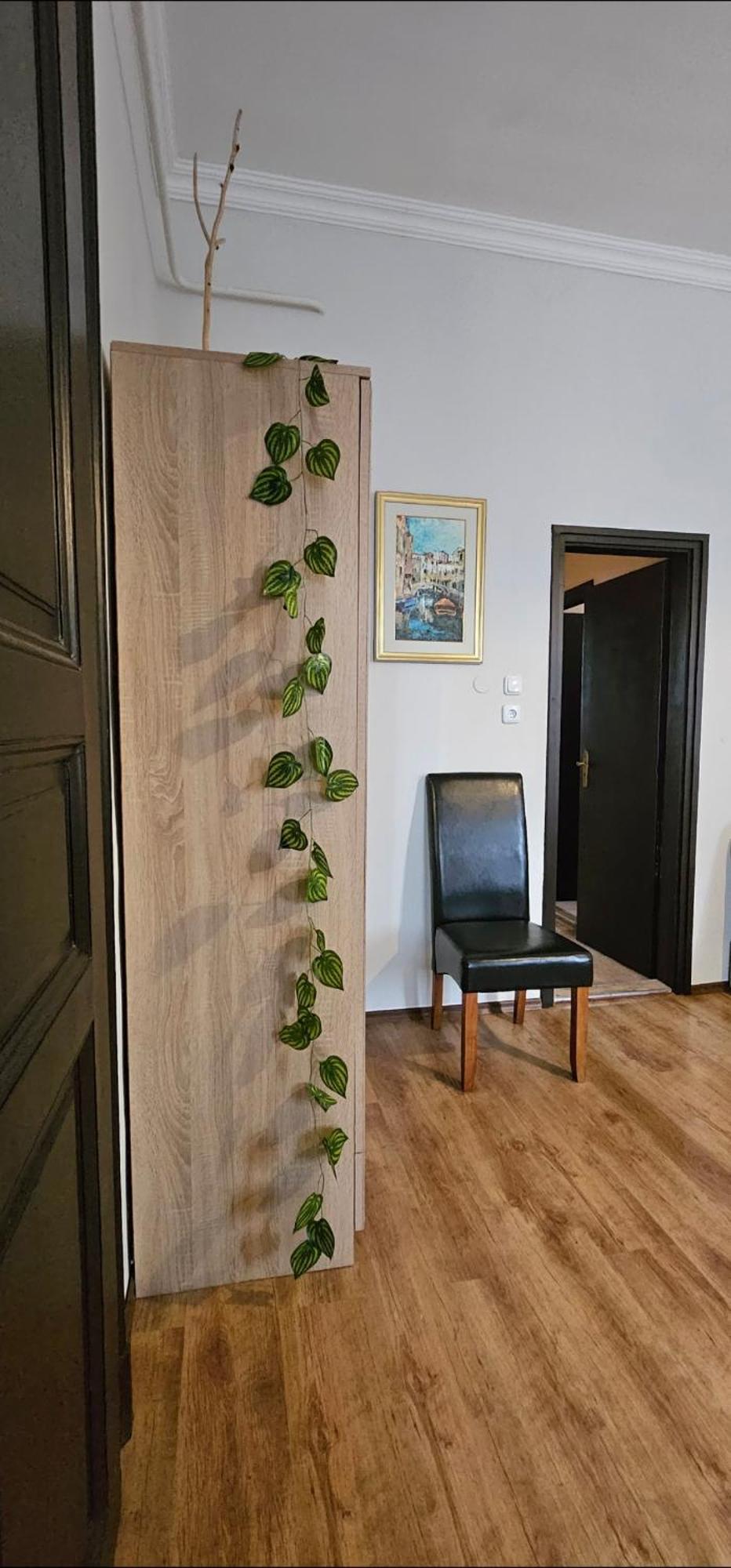 Artist Apartment Кестхей Екстер'єр фото